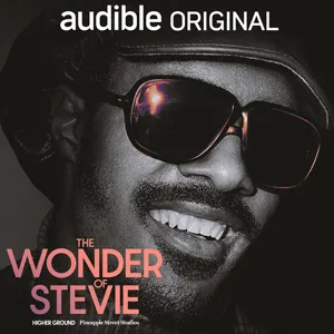 Cover for "The Wonder of Stevie"